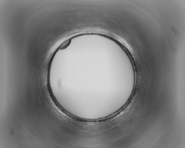 X0000111891504200908131643