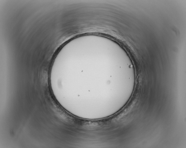 X0000111891505200908131643