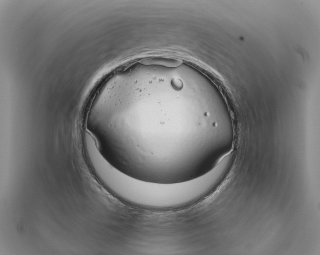 X0000111891506200908131643