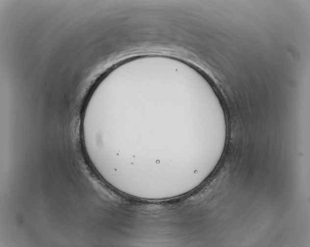 X0000111891507200908131643