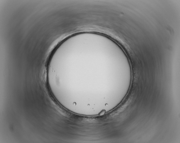 X0000111891509200908131644