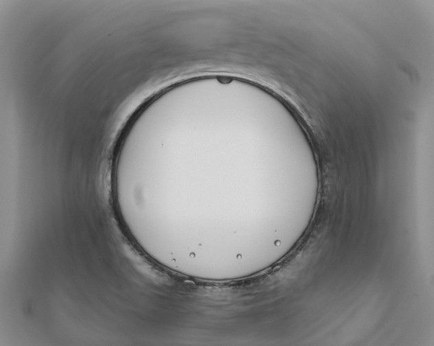 X0000111891511200908131644