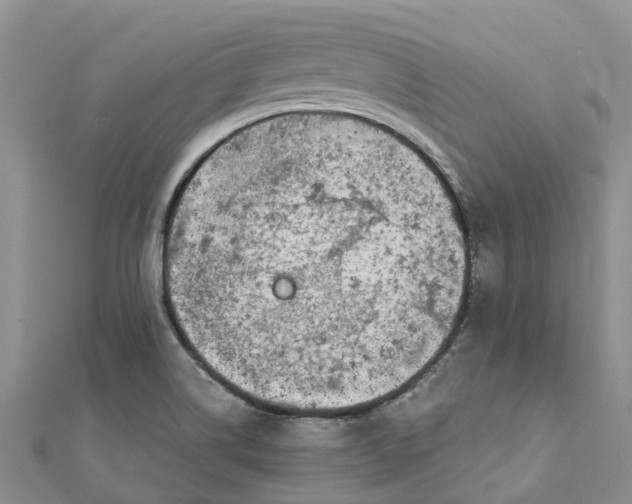 X0000111891514200908131644