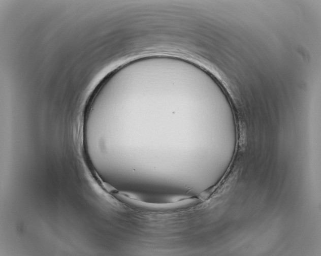 X0000111891515200908131644