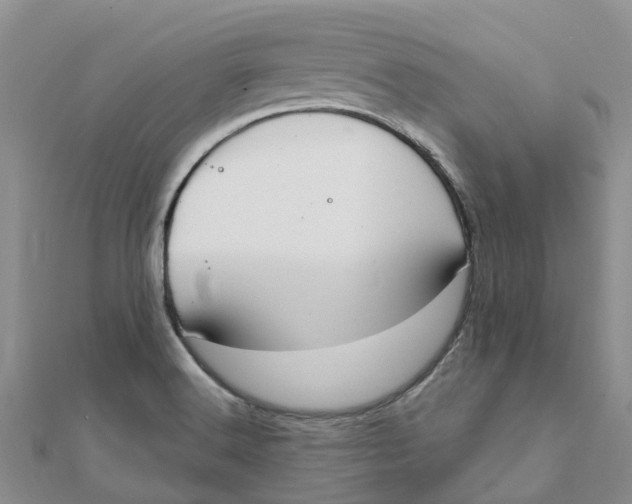 X0000111891516200908131644