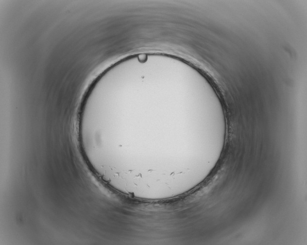 X0000111891517200908131644