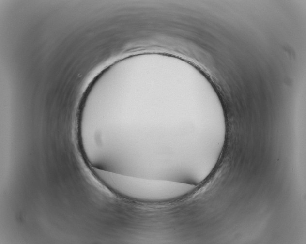 X0000111891518200908131644