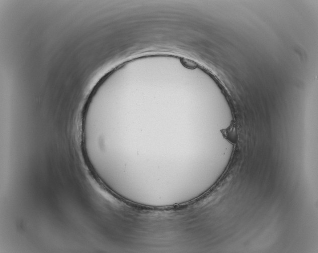 X0000111891519200908131644