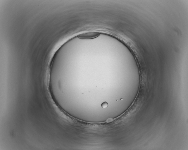 X0000111891520200908131644