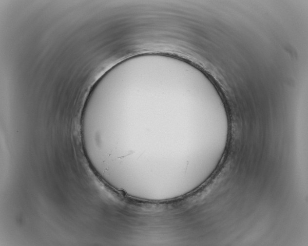 X0000111891521200908131644