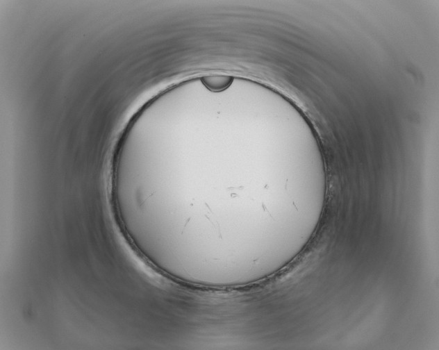 X0000111891523200908131644