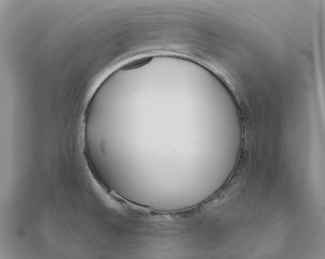 X0000111891524200908131644