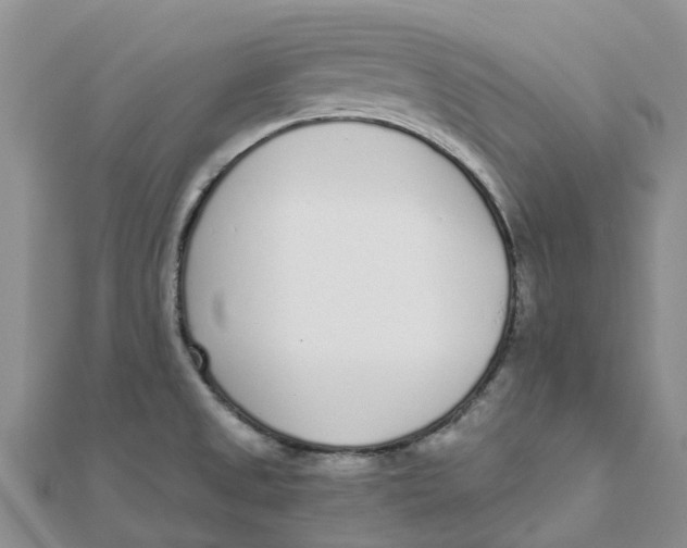 X0000111891525200908131644