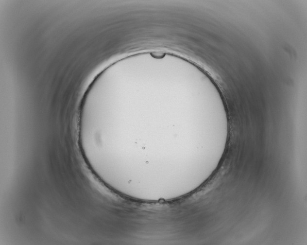 X0000111891526200908131644