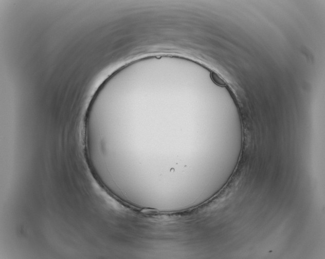 X0000111891527200908131644