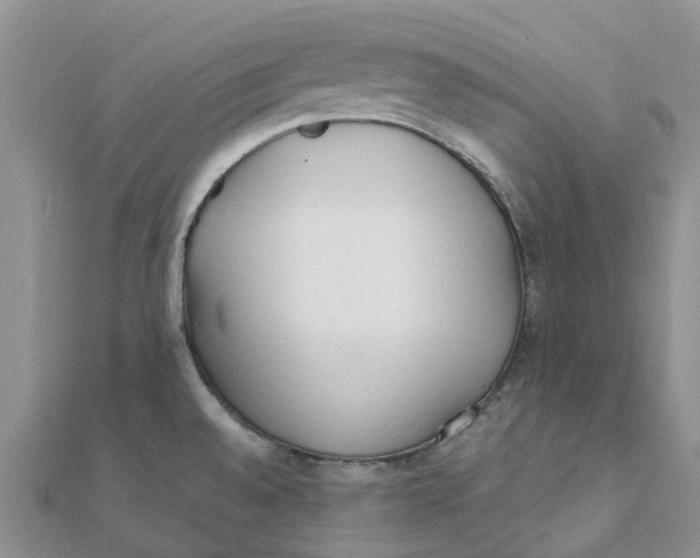 X0000111891528200908131644