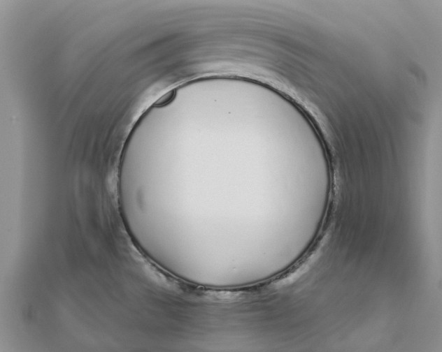 X0000111891529200908131644