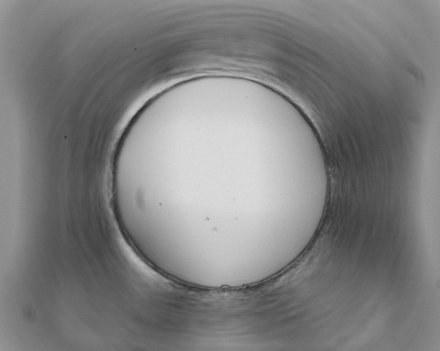 X0000111891531200908131644