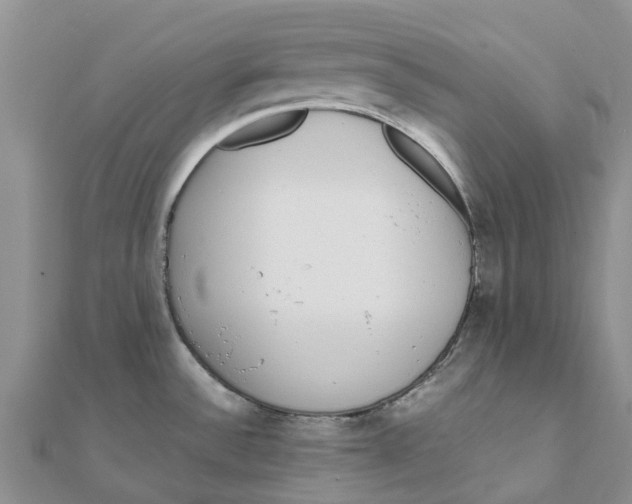 X0000111891532200908131644