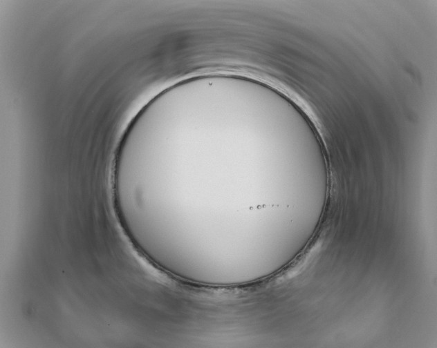 X0000111891533200908131644