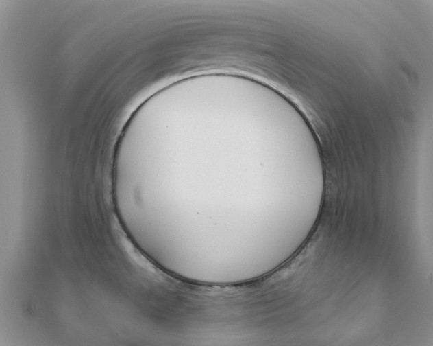 X0000111891534200908131644