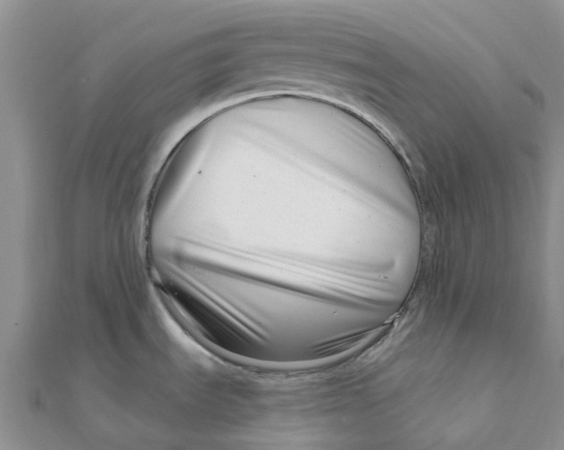 X0000111891535200908131644