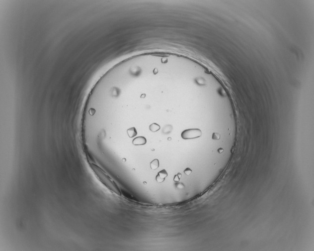 X0000111891536200908131644