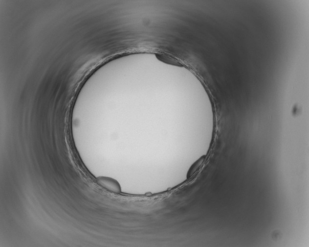 X0000111890001200908201333