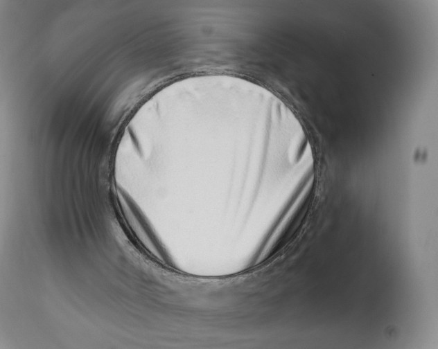 X0000111890002200908201333