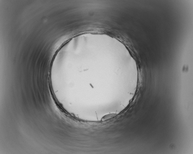 X0000111890003200908201333