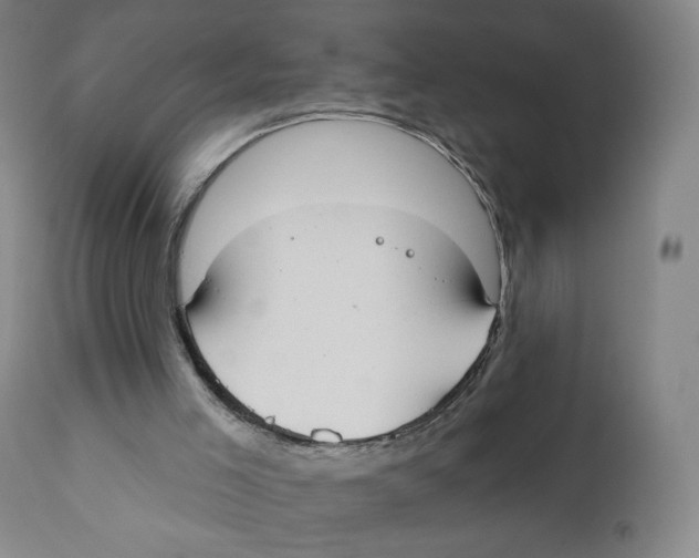 X0000111890005200908201333