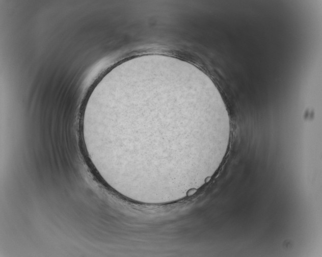 X0000111890006200908201333