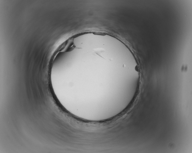 X0000111890008200908201333