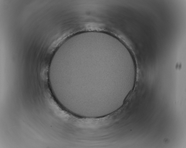 X0000111890009200908201333