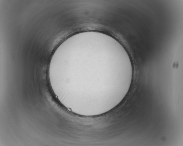 X0000111890010200908201333