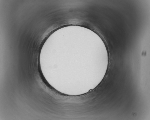 X0000111890011200908201333