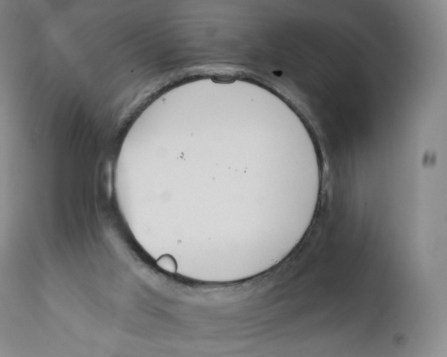 X0000111890013200908201332