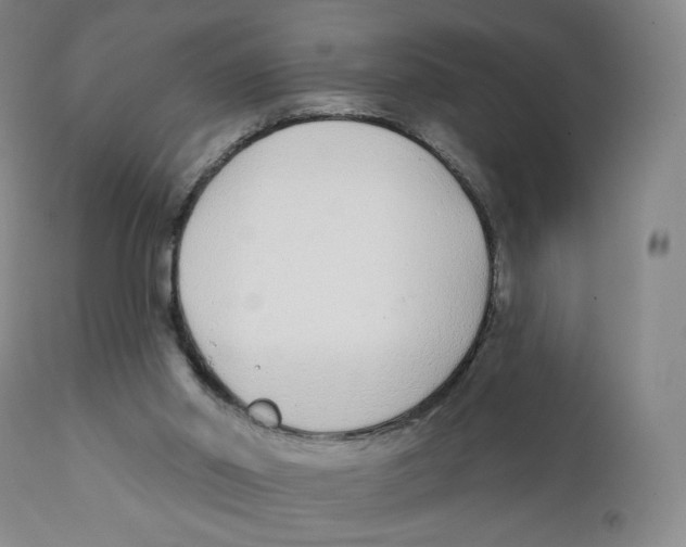 X0000111890014200908201332