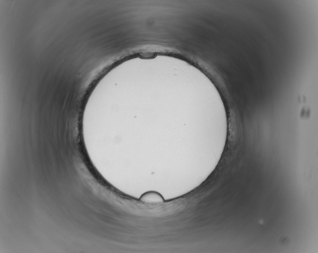 X0000111890015200908201332