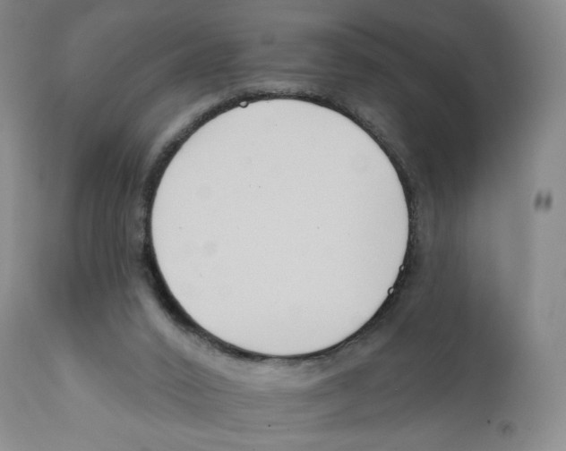 X0000111890016200908201332