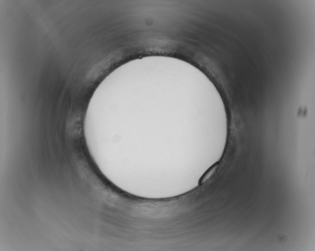 X0000111890017200908201332