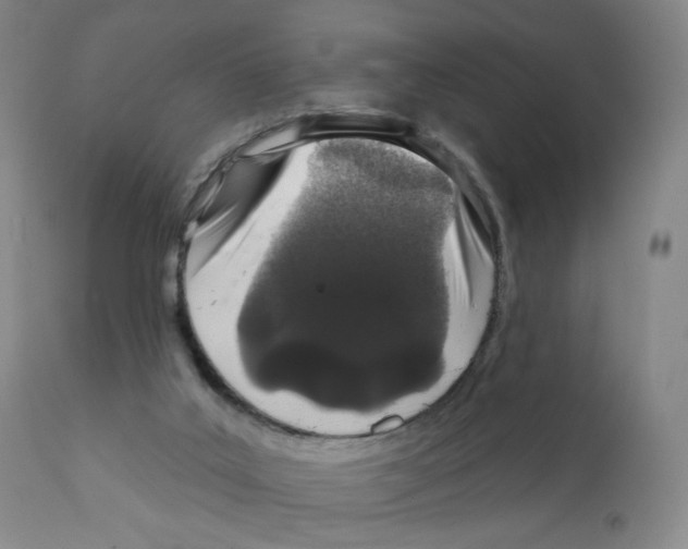 X0000111890019200908201332