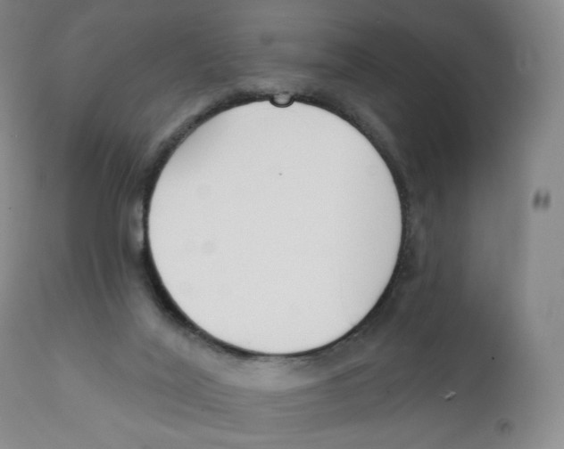 X0000111890020200908201332