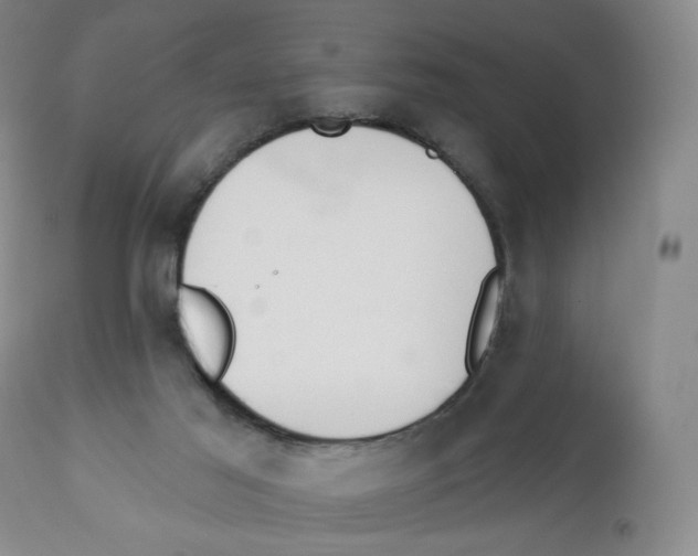 X0000111890021200908201332