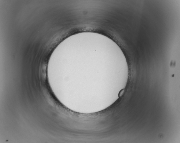 X0000111890022200908201332