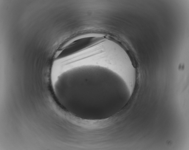 X0000111890023200908201332