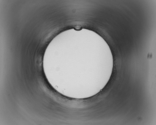 X0000111890024200908201332