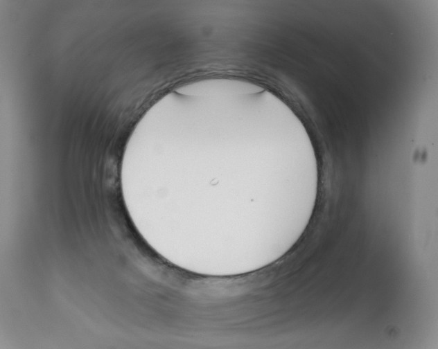 X0000111890025200908201332