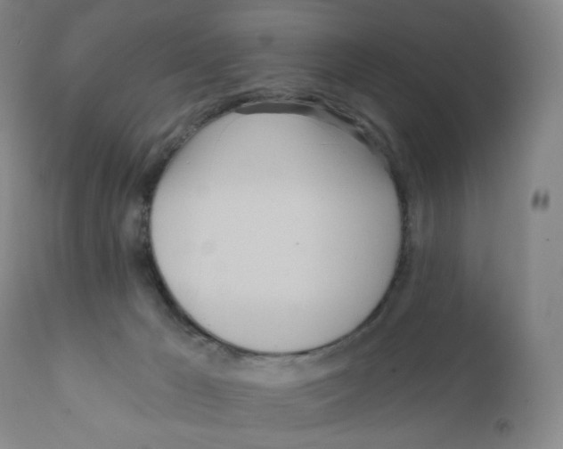 X0000111890029200908201332