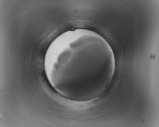 X0000111890031200908201332